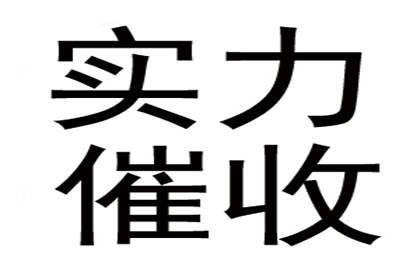 公安追款公司